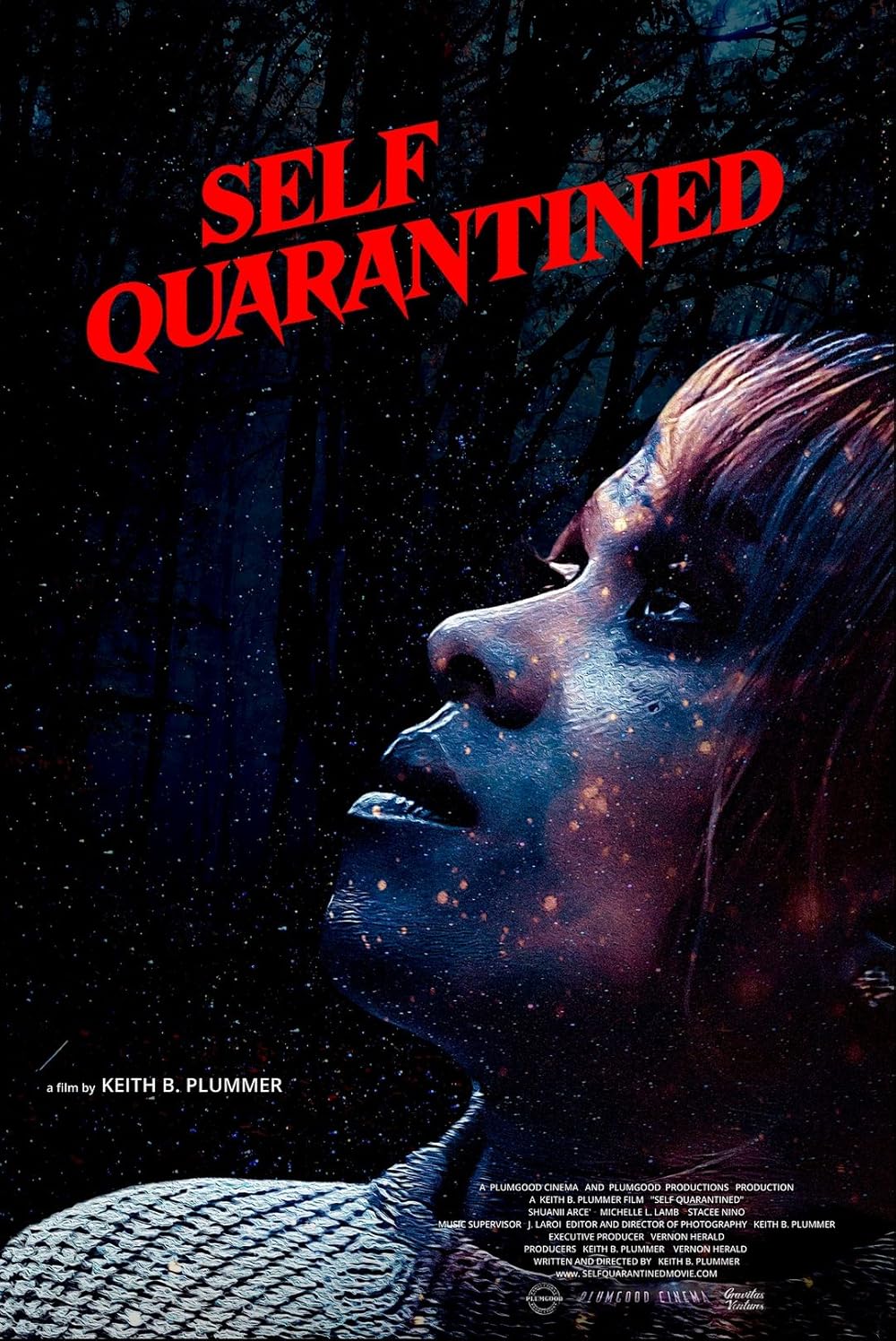 постер Self Quarantined